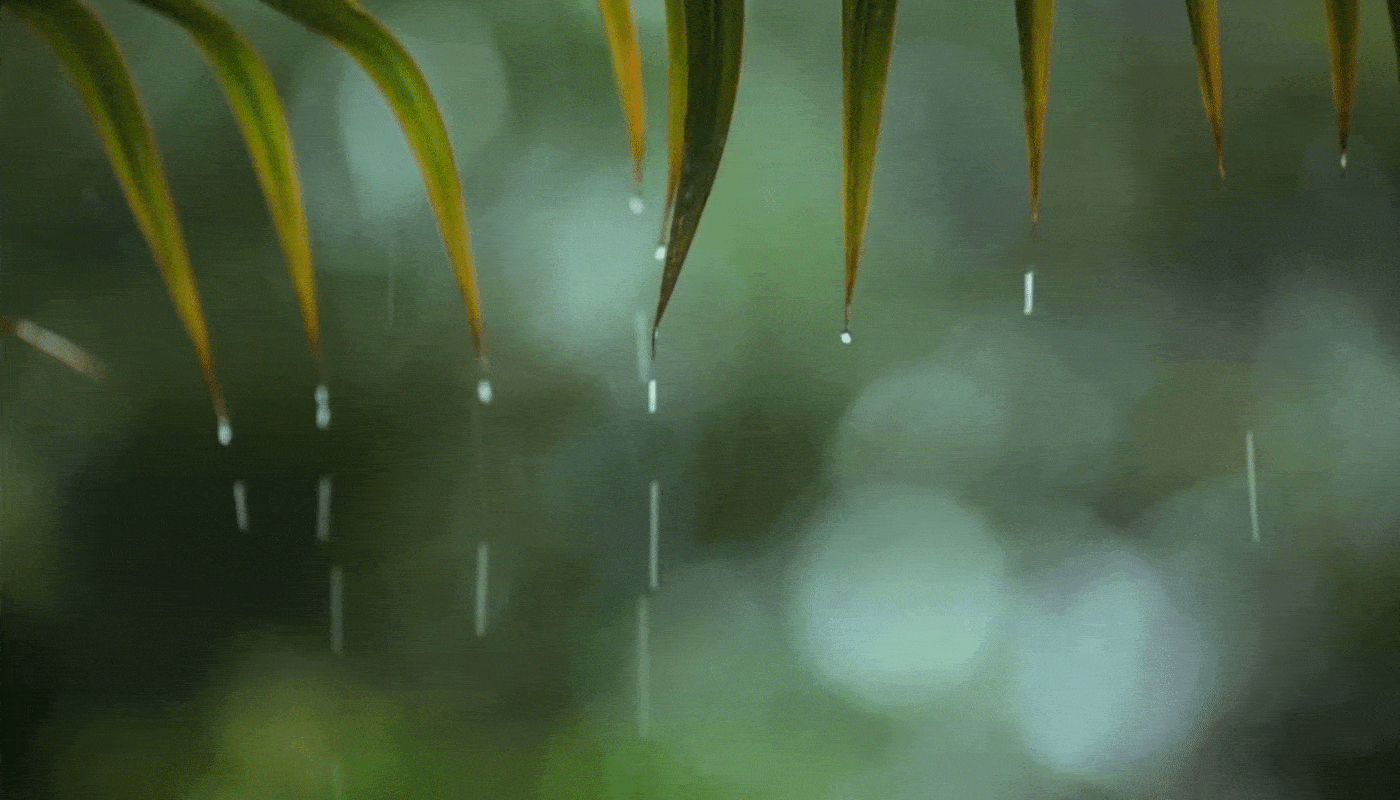 Top 999+ rain gif images Amazing Collection rain gif images Full 4K